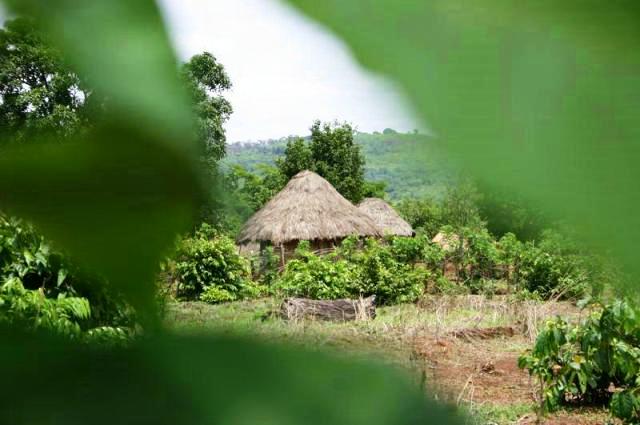 agence de rencontre franco africaine